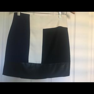 Zara skirt Never worn no tag amazing quality